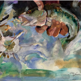 Coosa Red Eye Bass on a Wooley Bugger - Dirk Walker Fine Art