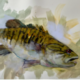 Smallmouth Bass - Dirk Walker Fine Art
