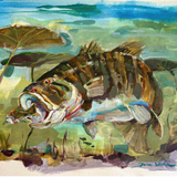 Bronzeback - Dirk Walker Fine Art